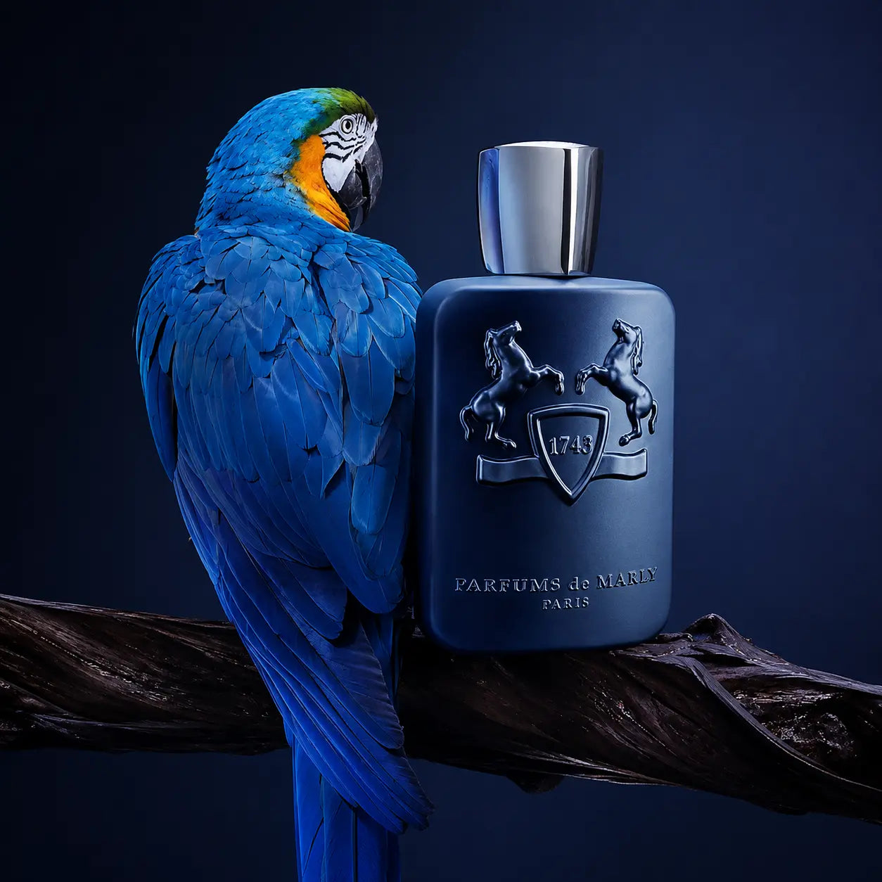 Blue parrot perched next to a Parfums de Marly Layton blue perfume bottle with a dark background