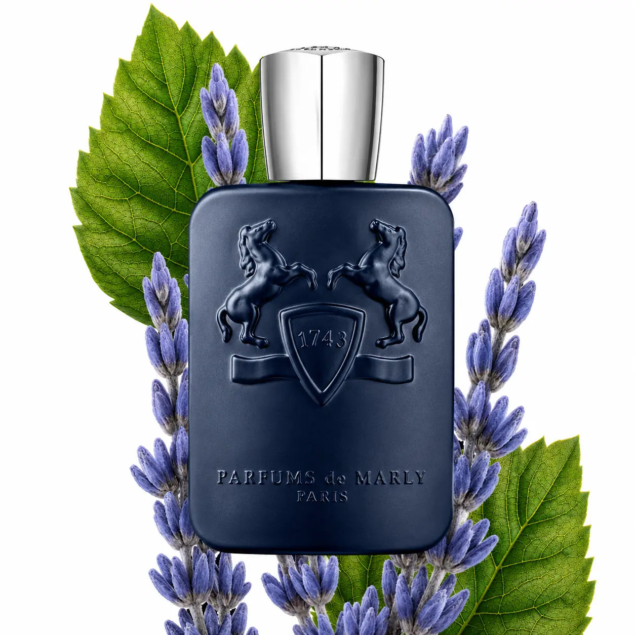 Parfums de Marly Layton Dark blue perfume bottle with silver cap on a white background with lavender and leaves.